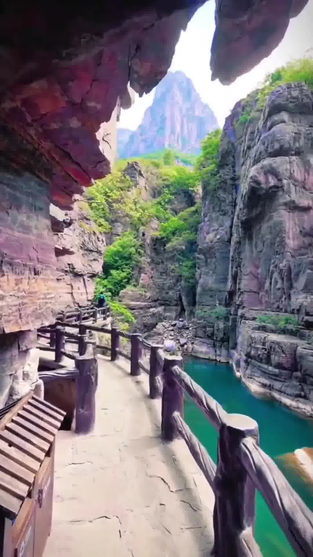 河南，古老活力之地