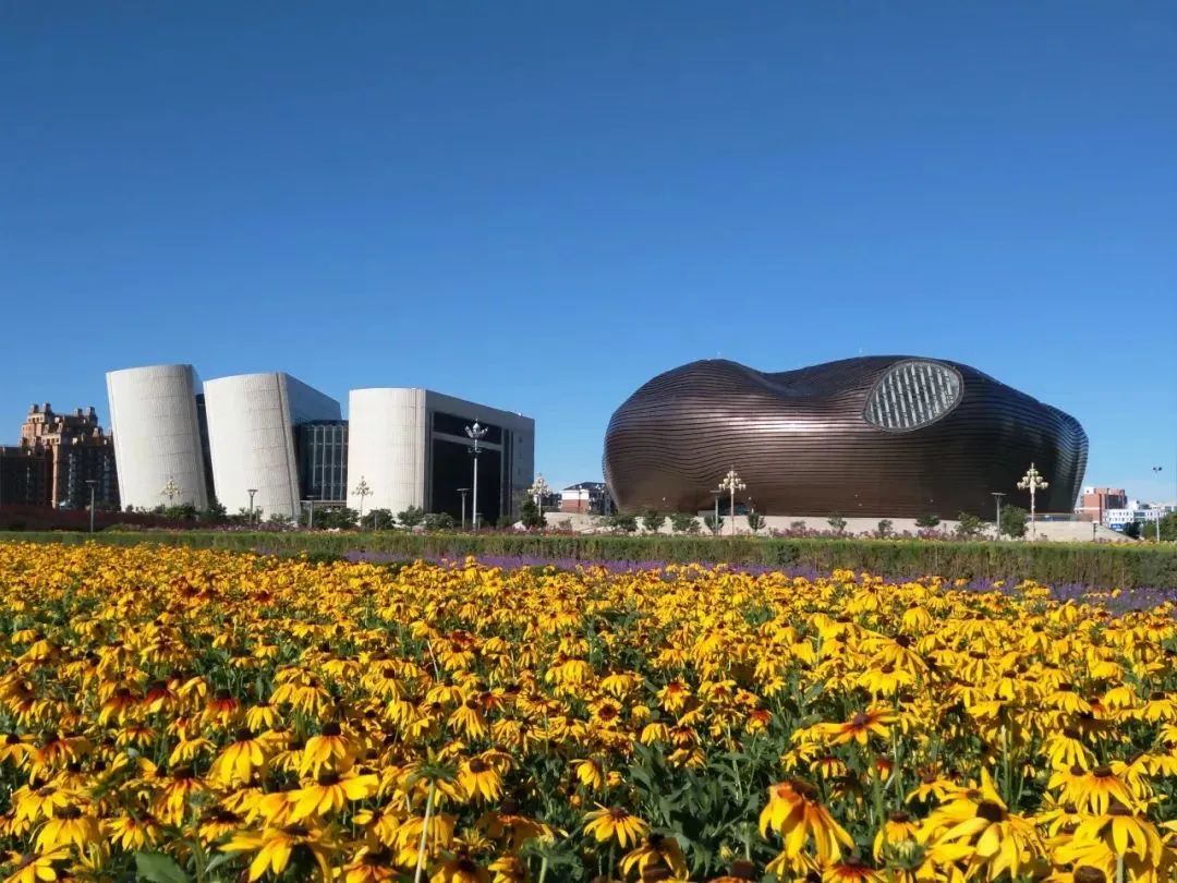 鄂尔多斯盛会，嘉宾云集，观众热情如火